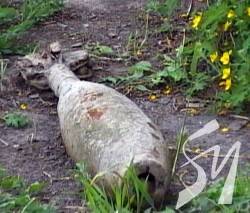 ��� ��� ������������ ������� �����䳿 ��������� �������